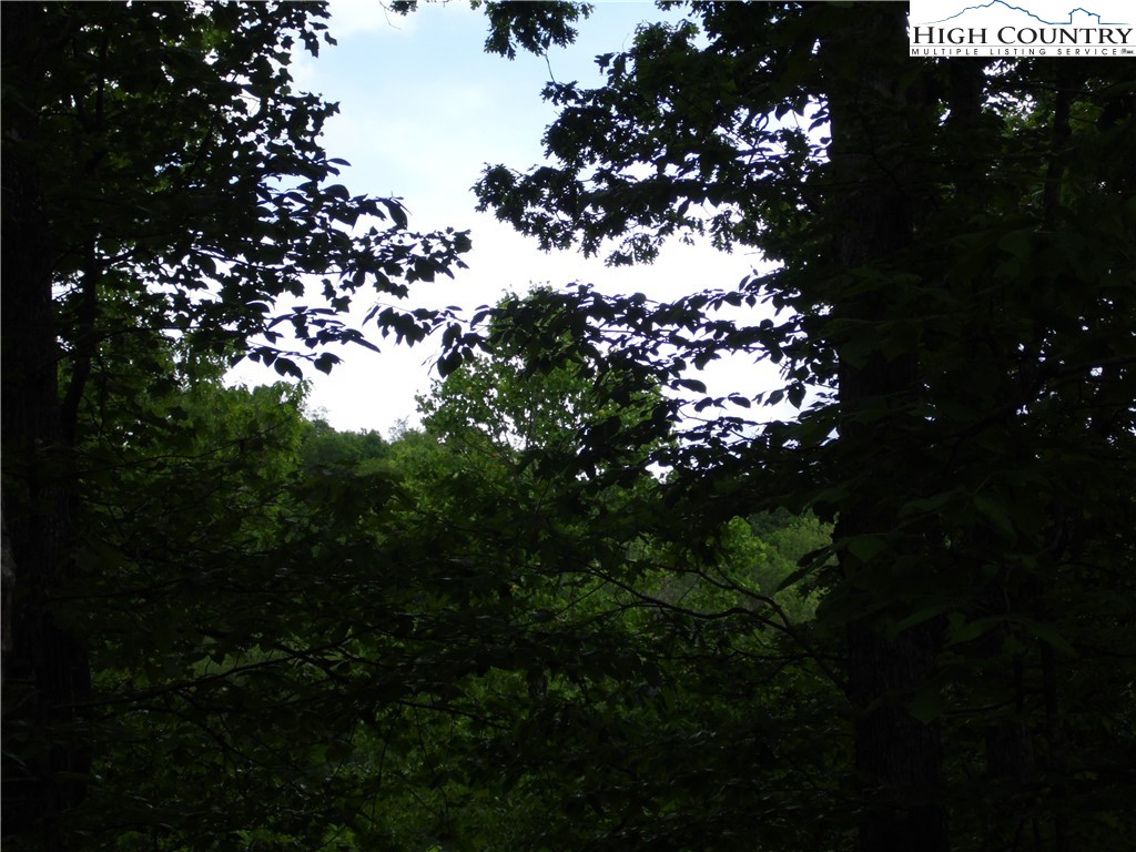 Deer Valley Road Piney Creek, NC 28663 - Photo 7 of 10