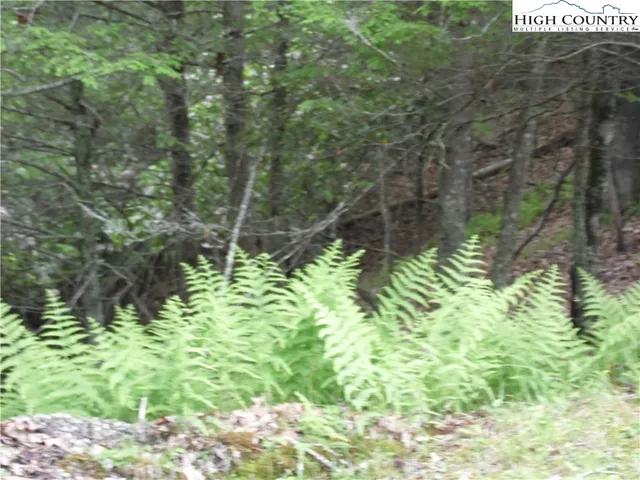 $18,500 | Deer Valley Road, Piney Creek, NC 28663