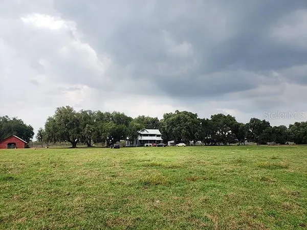 a view of a grassy field with trees in the background
