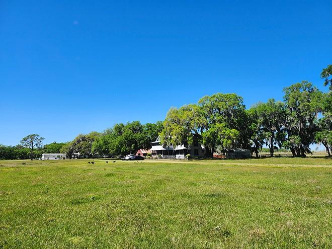 3650 Lake Tohopekaliga Road St. Cloud, FL 34772 - Photo 15 of 61 a view of a grassy field with trees in the background