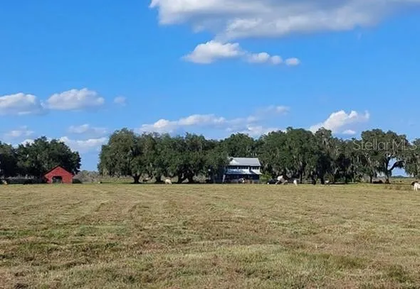 a view of yard with seating area and spacious trees