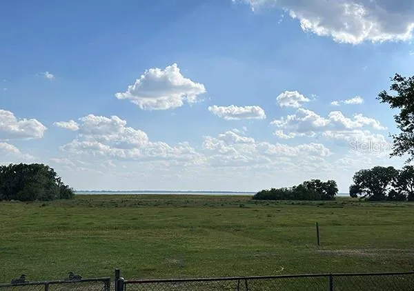 a view of a tree in a yard
