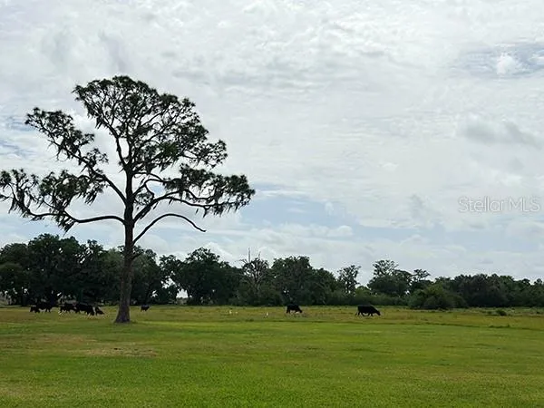 a view of an ocean and beach