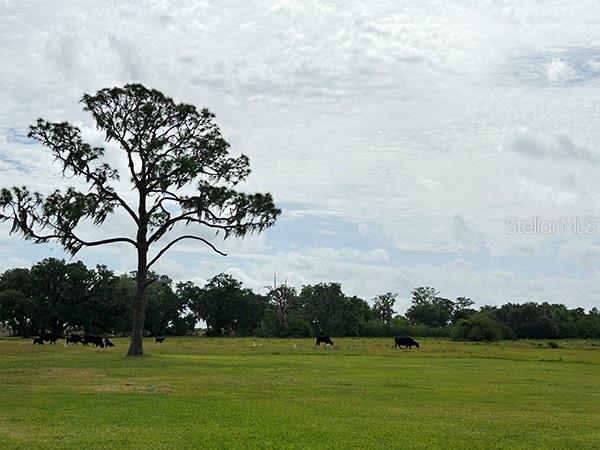 3650 Lake Tohopekaliga Road St. Cloud, FL 34772 - Photo 48 of 61 a view of a golf course with a lake
