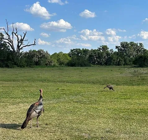 $3,785,500 | 3650 Lake Tohopekaliga Road, St. Cloud, FL 34772