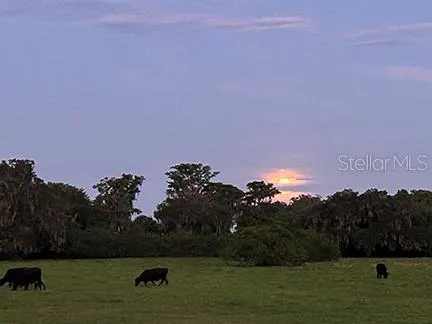 $3,785,500 | 3650 Lake Tohopekaliga Road, St. Cloud, FL 34772