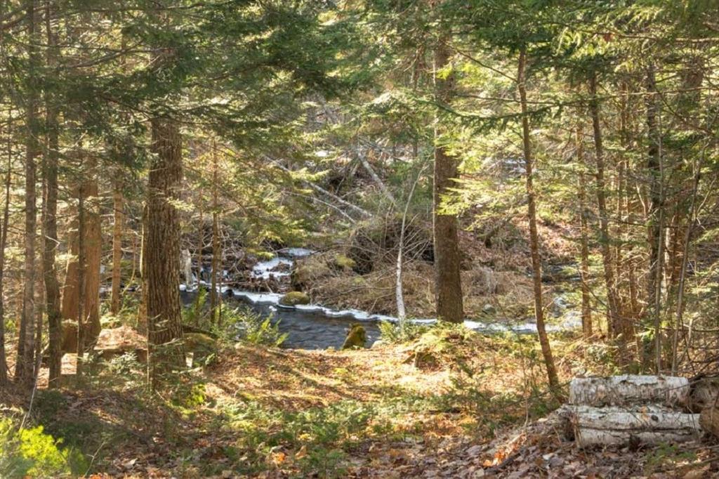 226 Drake Road Springfield, ME 04487 - Photo 12 of 29 Additional Photo