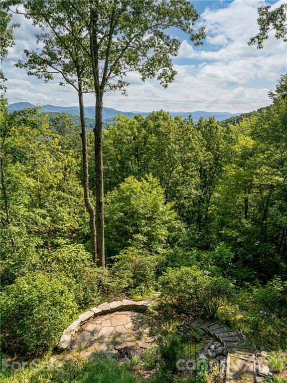 10 Powder Ridge Drive Asheville, NC 28803 - Photo 36 of 46 a view of a yard with plants