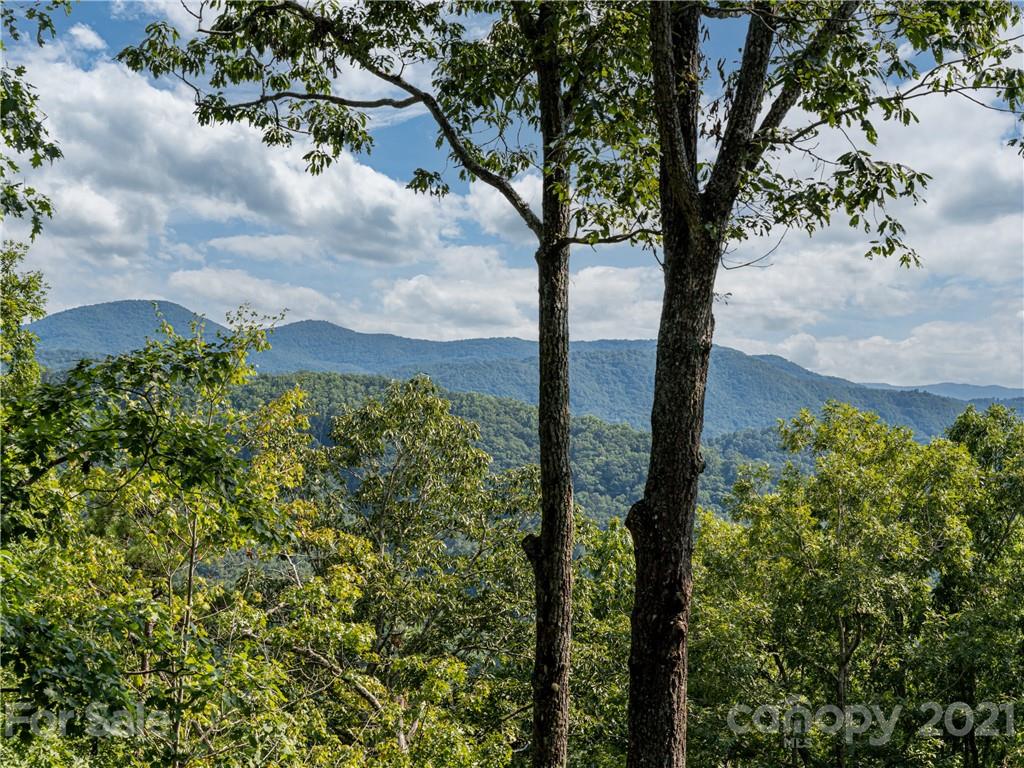 10 Powder Ridge Drive Asheville, NC 28803 - Photo 37 of 46 a view of lake from a yard