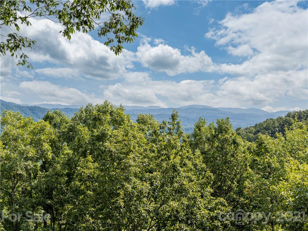 10 Powder Ridge Drive Asheville, NC 28803 - Photo 38 of 46 view of a bunch of trees