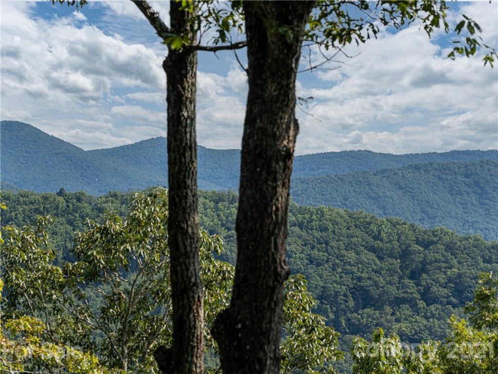 10 Powder Ridge Drive Asheville, NC 28803 - Photo 39 of 46 a view of a yard with plants and a bench