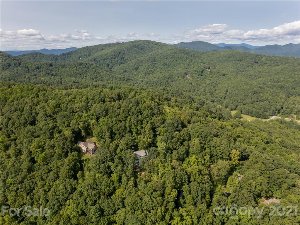 10 Powder Ridge Drive Asheville, NC 28803 - Photo 40 of 46 a view of a lush green forest with lush green forest