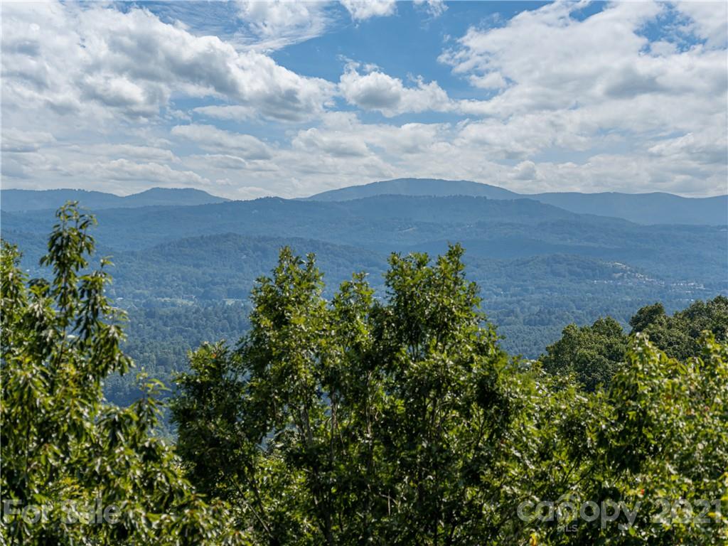 10 Powder Ridge Drive Asheville, NC 28803 - Photo 5 of 46 an aerial view of a house with a yard