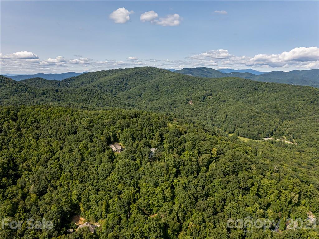 10 Powder Ridge Drive Asheville, NC 28803 - Photo 41 of 46 a view of a big yard with lots of green space and mountain view