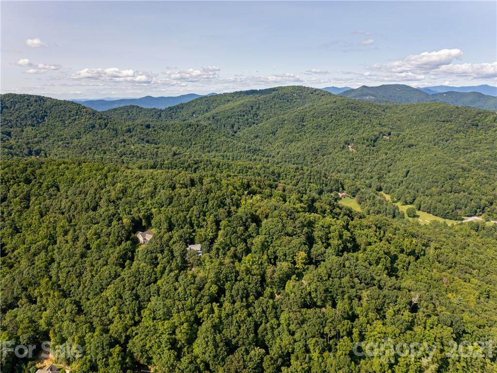 10 Powder Ridge Drive Asheville, NC 28803 - Photo 42 of 46 a view of a lush green forest with a mountain