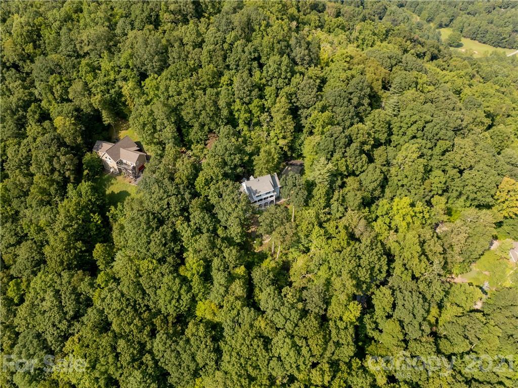 10 Powder Ridge Drive Asheville, NC 28803 - Photo 44 of 46