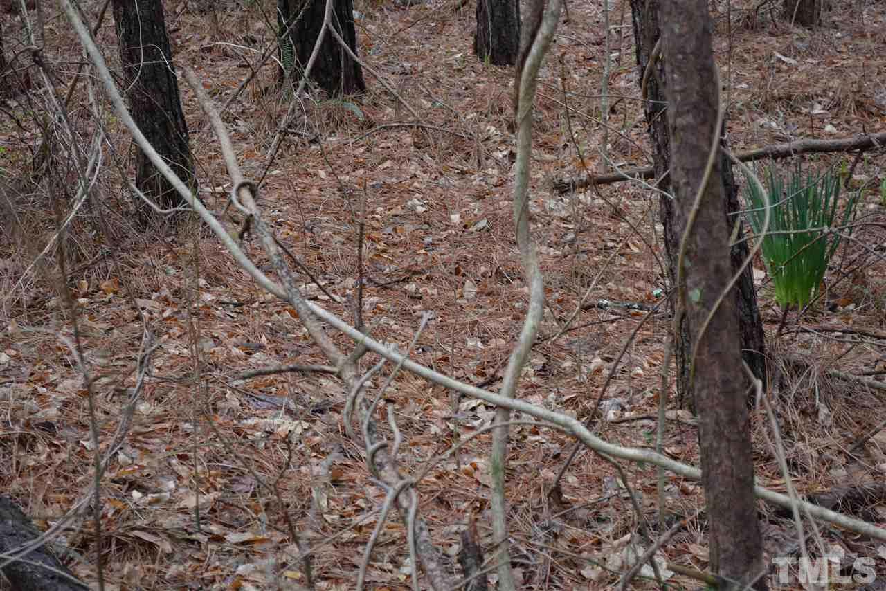 720 Hamlets Chapel Road Pittsboro, NC 27312 - Photo 13 of 14 Gallery Image 13