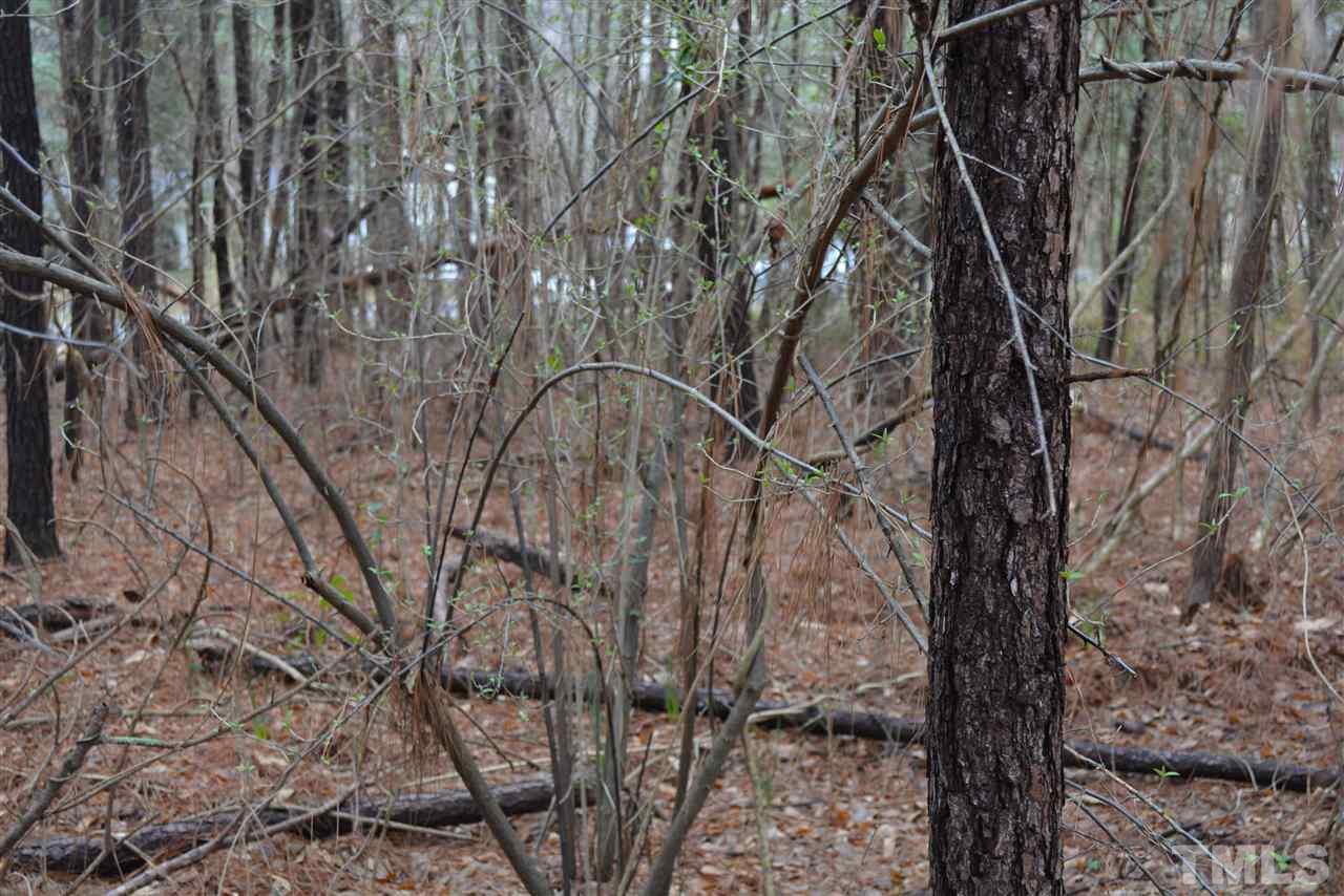 720 Hamlets Chapel Road Pittsboro, NC 27312 - Photo 9 of 14 Gallery Image 9