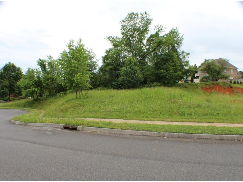 1916 Red Maple Road, Unit 34 Kingsport, TN 37664 - Photo 7 of 9 Photo 7