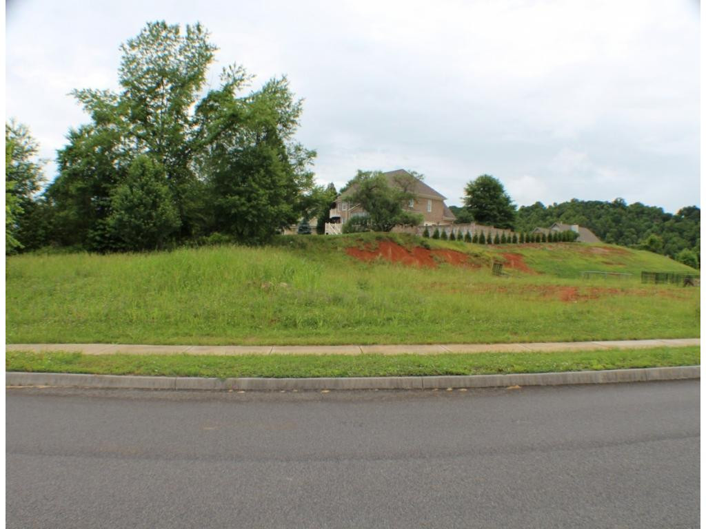 1916 Red Maple Road, Unit 34 Kingsport, TN 37664 - Photo 8 of 9 Photo 8