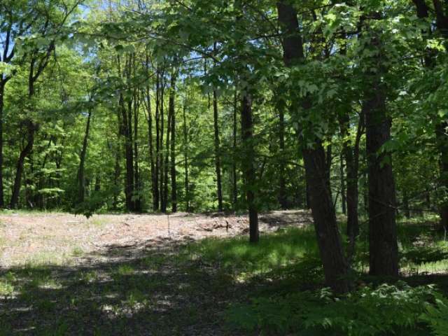 On Vets Memorial Drive Rhinelander, WI 54501 - Photo 15 of 20 Gallery Image 15