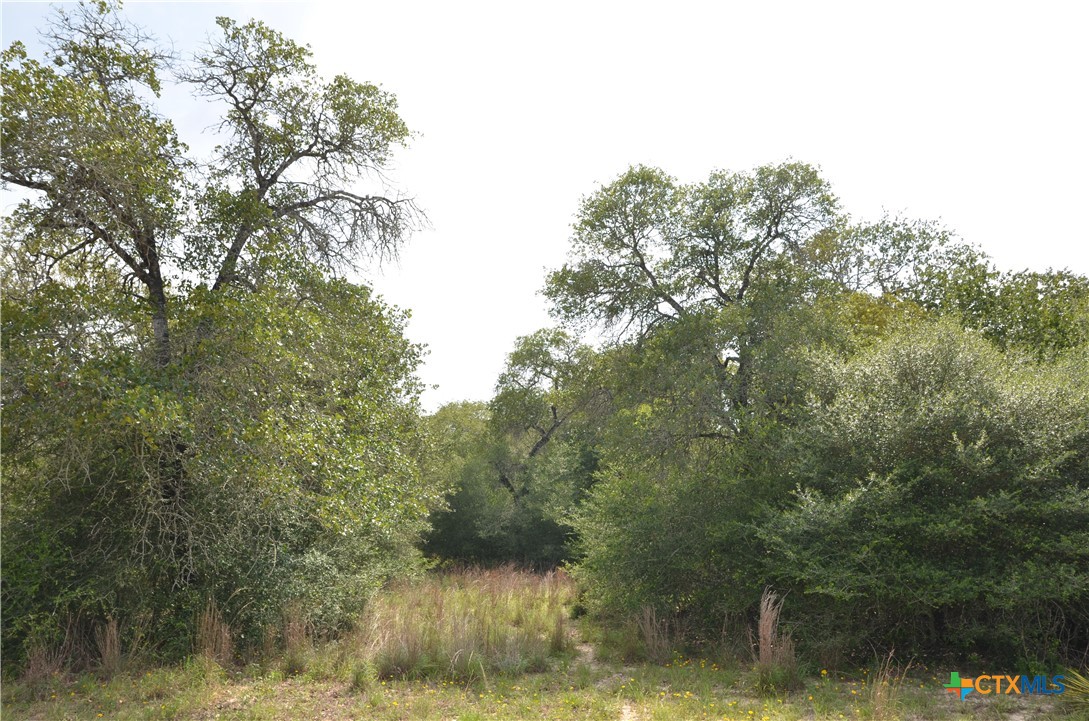 Lot 66 Powder Ridge Luling, TX 78648 - Photo 11 of 14