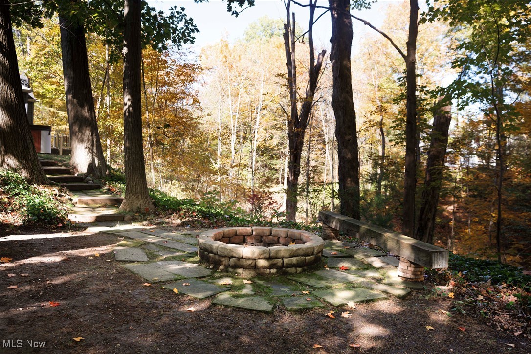 36625 Jackson Road Chagrin Falls, OH 44022 - Photo 9 of 50 View of yard