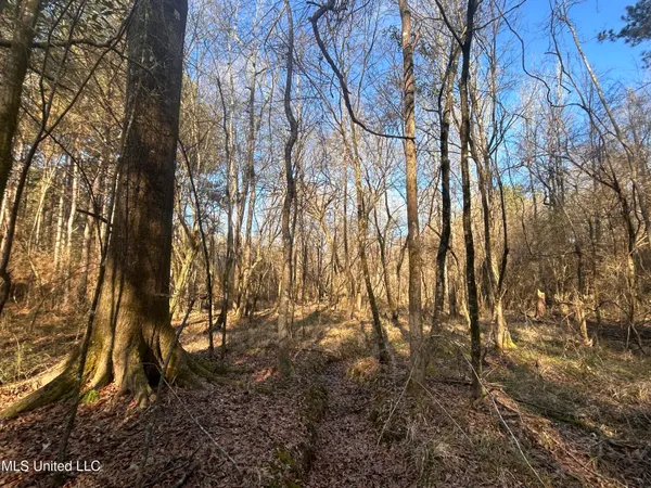 $165,000 | Northeast Furrs Mill Drive Northeast, Wesson, MS 39191