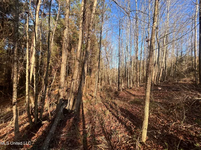 $165,000 | Northeast Furrs Mill Drive Northeast, Wesson, MS 39191