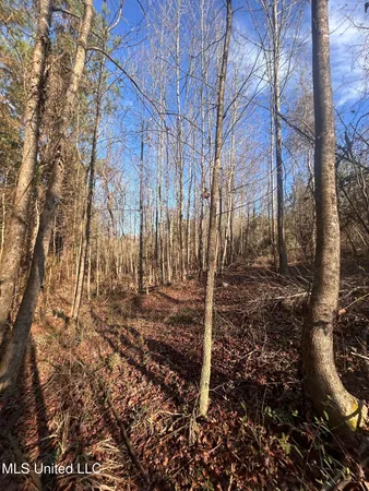 $165,000 | Northeast Furrs Mill Drive Northeast, Wesson, MS 39191