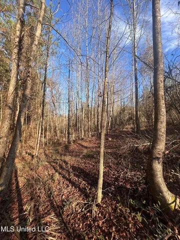 $165,000 | Northeast Furrs Mill Drive Northeast, Wesson, MS 39191