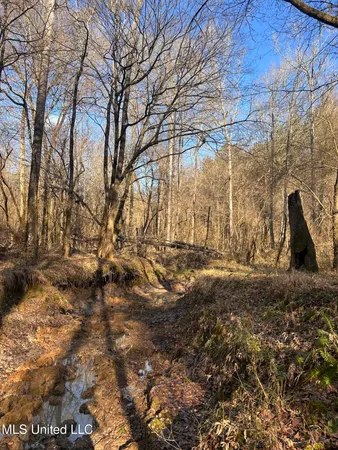 $165,000 | Northeast Furrs Mill Drive Northeast, Wesson, MS 39191