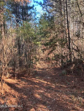 $165,000 | Northeast Furrs Mill Drive Northeast, Wesson, MS 39191