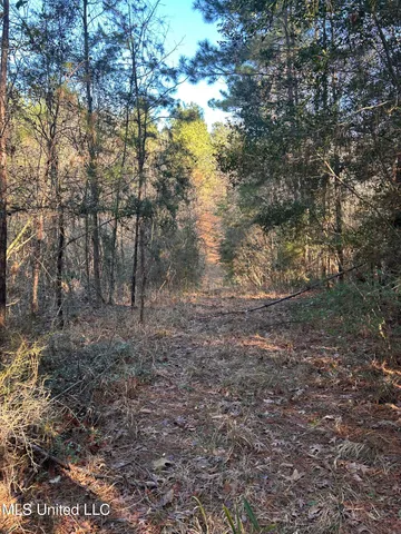 $165,000 | Northeast Furrs Mill Drive Northeast, Wesson, MS 39191