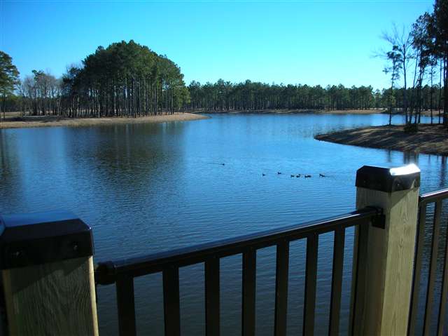 Lot 233 Cottage Shell Drive Myrtle Beach, SC 29579 - Photo 5 of 14 Gallery Image 5