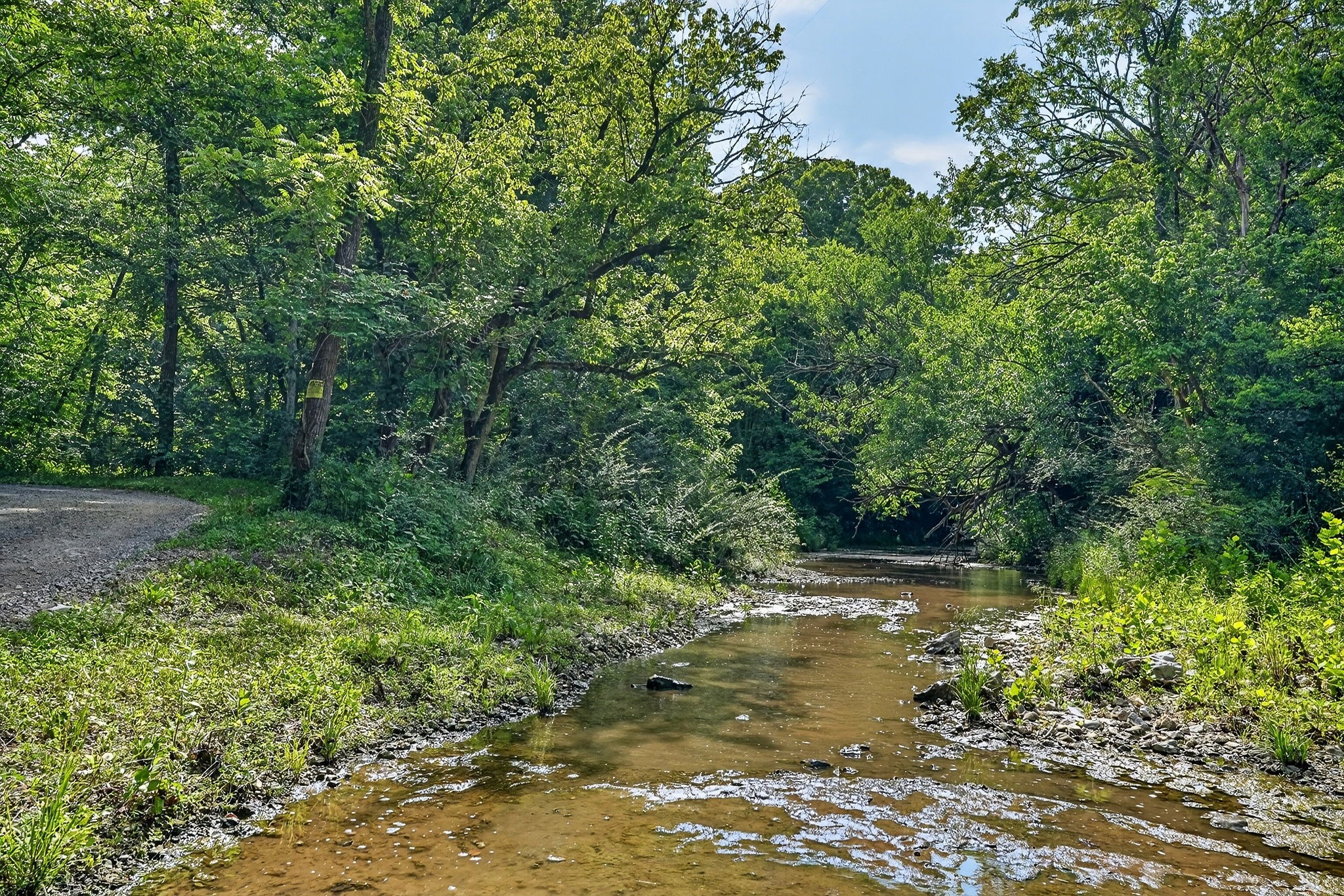 2926 Bryant Ridge Road Baxter, TN 38544 - Photo 2 of 64