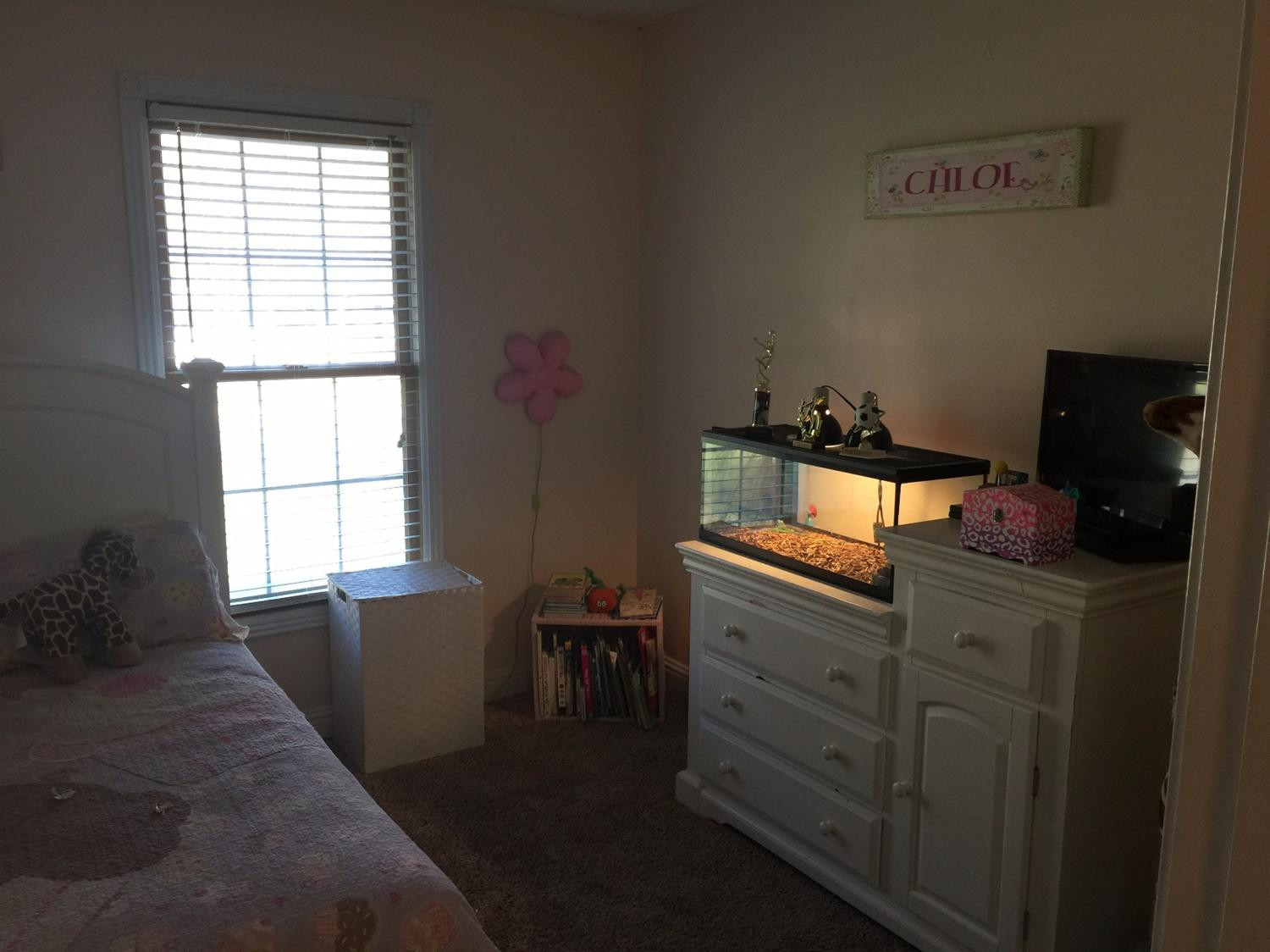 334 Sycamore Road Stanton, KY 40380 - Photo 9 of 58 Photo 9
