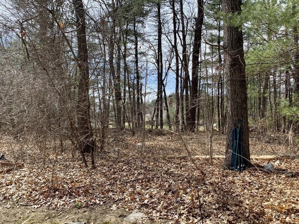 50 Mission Road Tyngsborough, MA 01879 - Photo 36 of 41 a backyard of a house with lots of green space