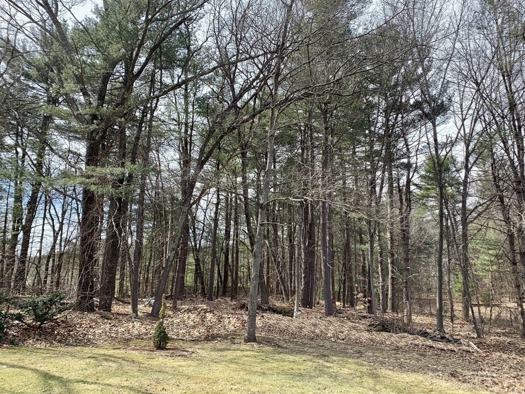 50 Mission Road Tyngsborough, MA 01879 - Photo 37 of 41 a view of swimming pool with trees