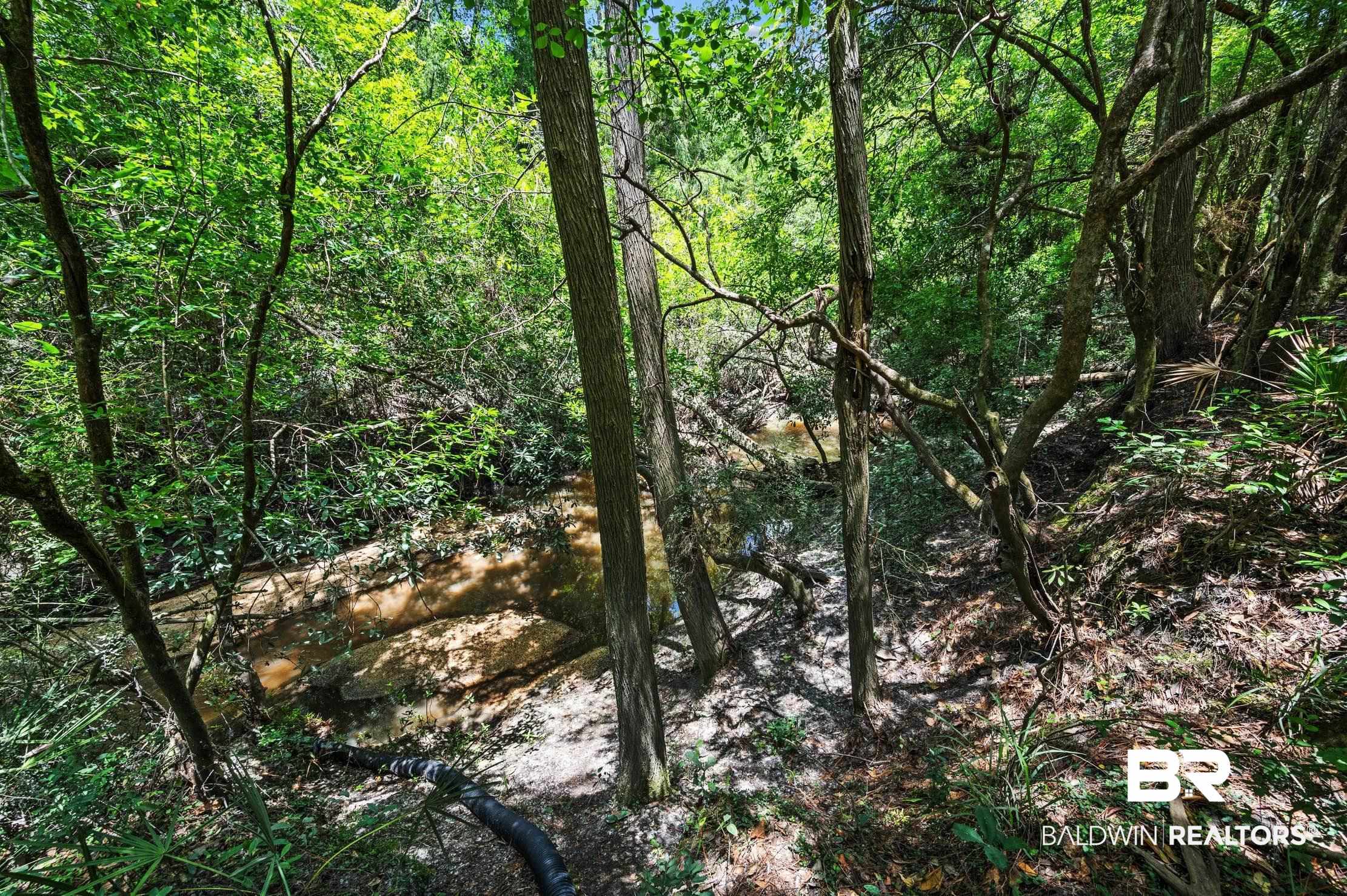 25400 Goat Cooper Road Robertsdale, AL 36567 - Photo 31 of 34 Side Yard Creek