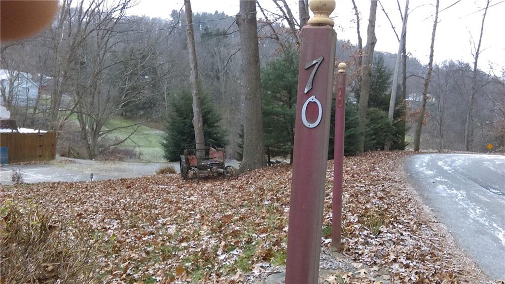 70 McClure Road Cheswick, PA 15024 - Photo 3 of 3 Gallery Image 3