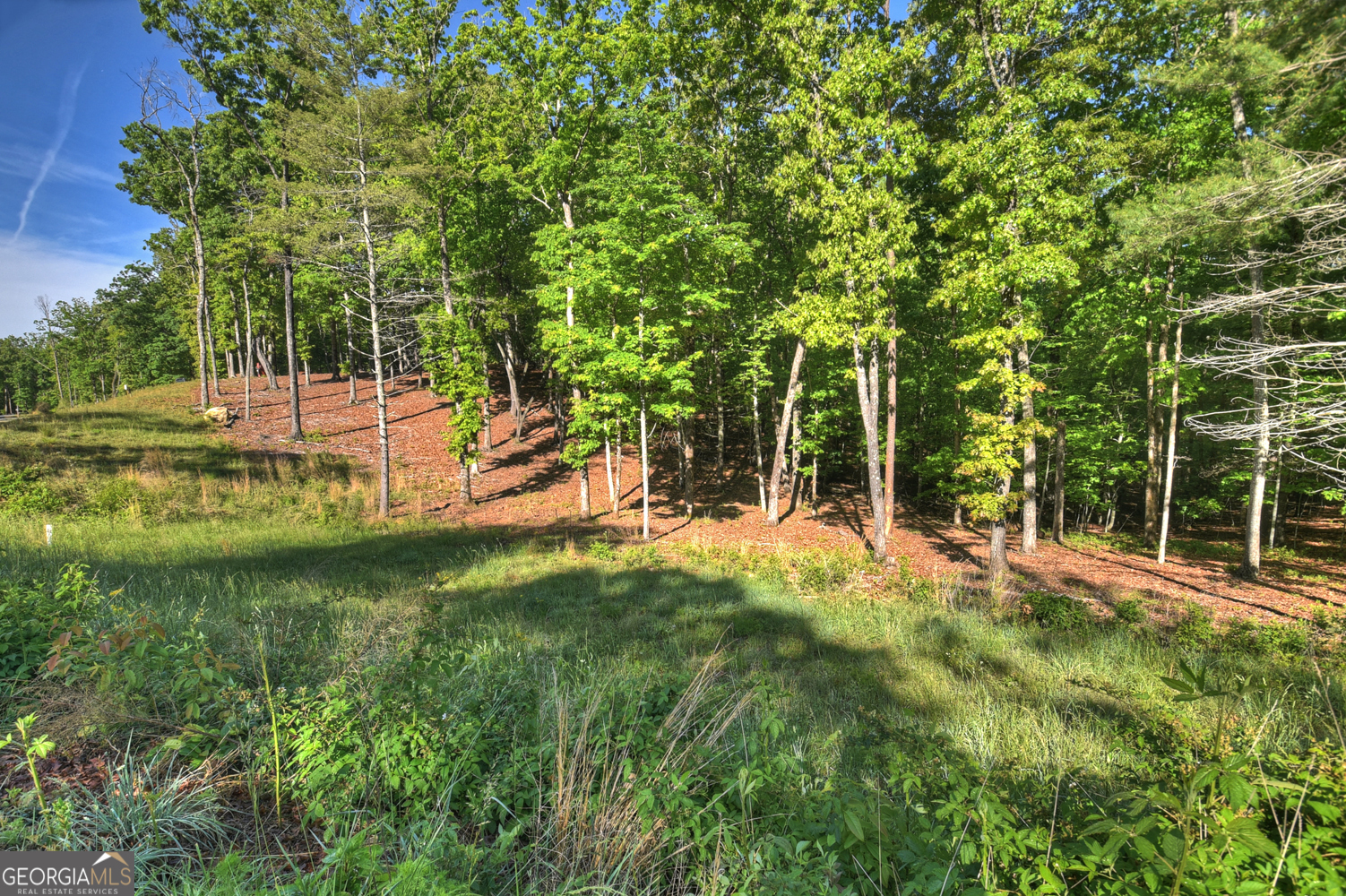 Lot 41 Ridge Drive Morganton, GA 30560 - Photo 28 of 34