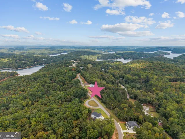 an aerial view of residential houses with outdoor space and trees
