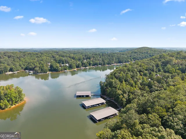 a view of a street with a yard and a large tree