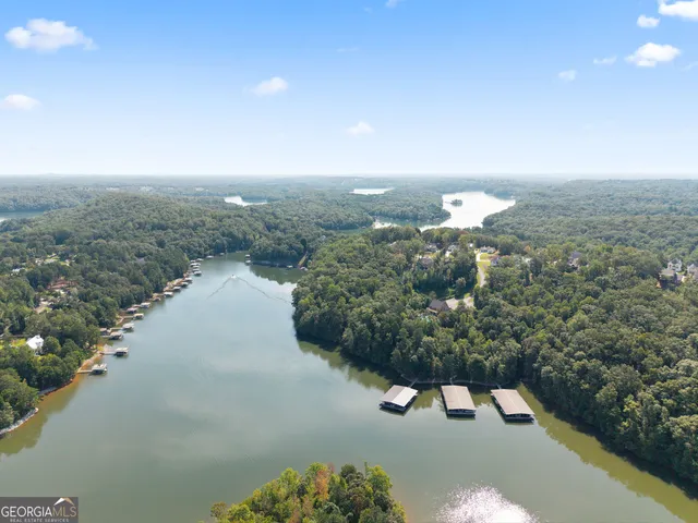 an aerial view of a house with swimming pool garden view and trees
