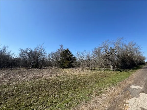 a view of a field with a tree in background