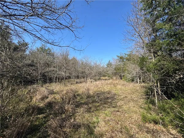 a view of a lake with lots of trees