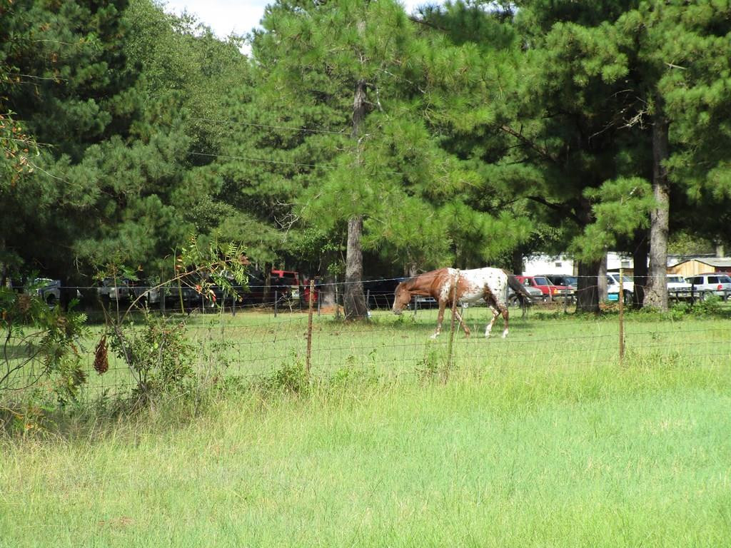 3480 Camp Rawls Road Wagener, SC 29164 - Photo 40 of 40