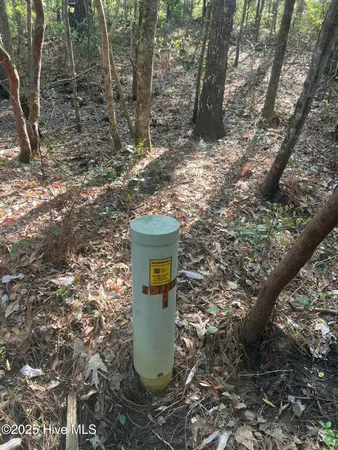 $329,000 | Tbd Wood Creek Drive, Hubert, NC 28539