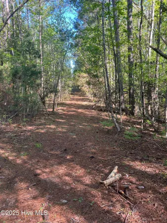 $329,000 | Tbd Wood Creek Drive, Hubert, NC 28539